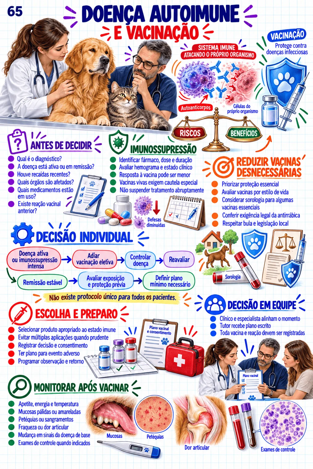 Mapa visual de Vacinação, Sedação e Anestesia