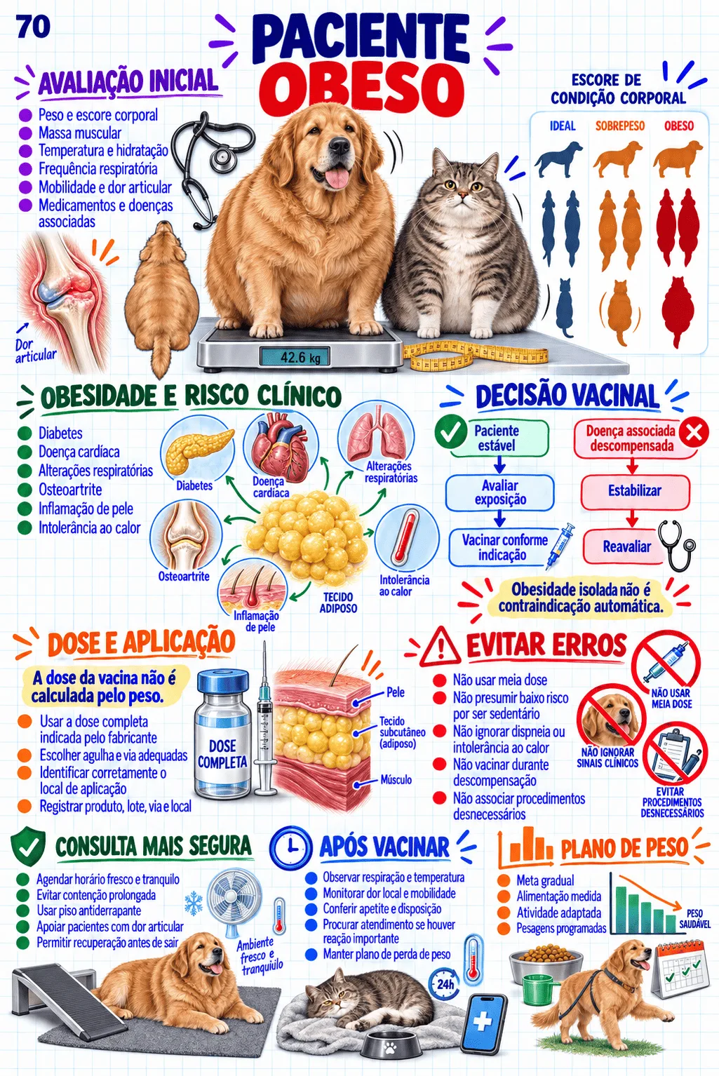 Mapa visual de Vacinação, Sedação e Anestesia