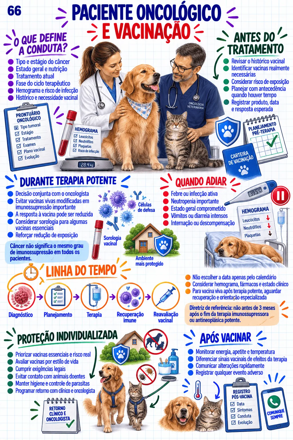 Mapa visual de Vacinação, Sedação e Anestesia
