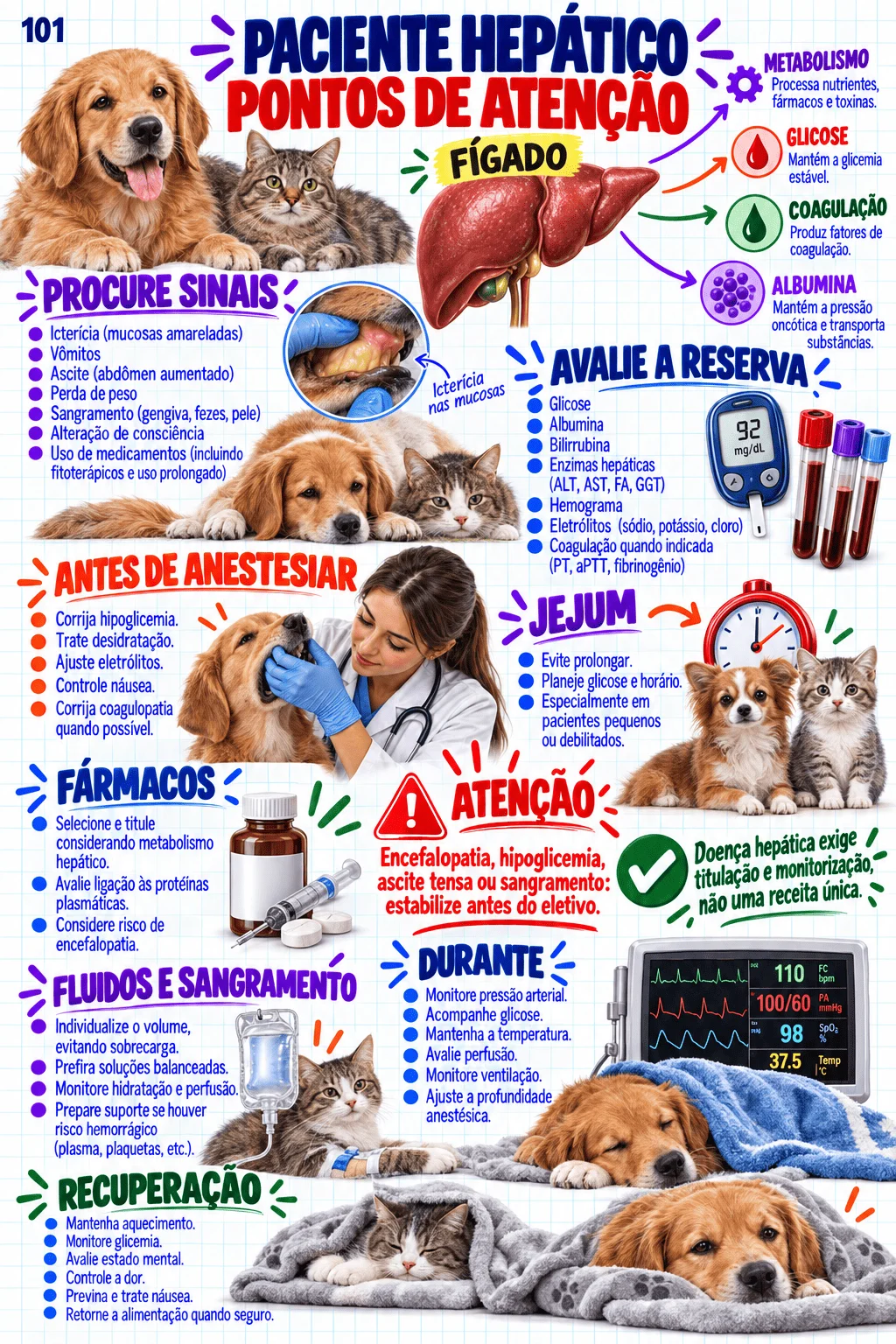 Prévia material Vacinação, Sedação e Anestesia